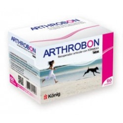 ARTHROBON 60 COMP.