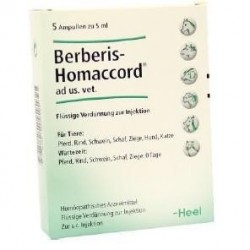 BERBERIS HOMACCORD 5 X 5 ML