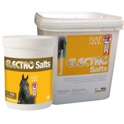 ELECTRO SALTS 1 KG