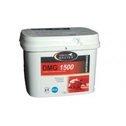 D.M.G 1500