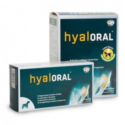 HYALORAL RAZAS PEQUEÑAS Y...