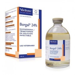 BORGAL 24% 100 ML