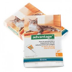 ADVANTAGE 40 GATOS 4 pipetas