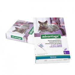 ADVANTAGE 80 GATOS 4 pipetas