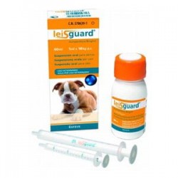 LEISGUARD SUSPENSION 60 ML