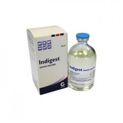 INDIGEST INY 100 ML