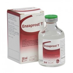 ENZAPROST 50 ML