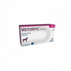 VETORYL 60 MG