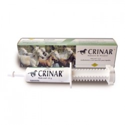 CRINAR PASTA 1 JERINGA