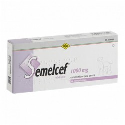 SEMELCEF 1000 MG 6 COMPRIMIDOS