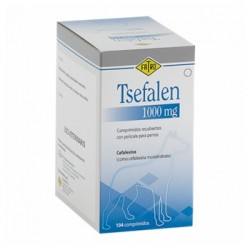 TSEFALEN 1000 MG 104...