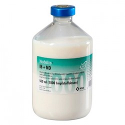 NOBILIS IB ND 500 ML (1000...