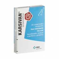 KARSIVAN 60 Comprimidos