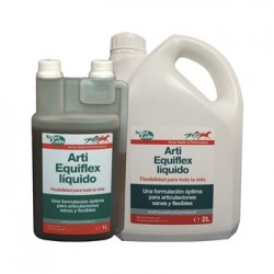 Arti Equi Flex Liquido 1L