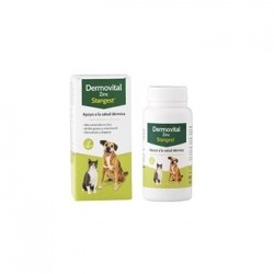 Dermovital Zinc 60 comprimidos