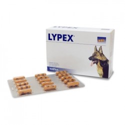 LYPEX 60 Cápsulas