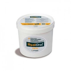 Hyaloral Equino 840 gr