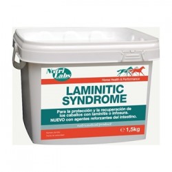 Laminitic Syndrome