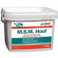 M.S.M Hoof