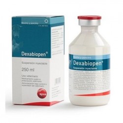 DEXABIOPEN 250 ML