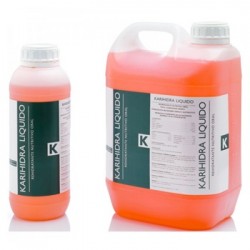 KARIHIDRA LIQUIDO 5 LTS