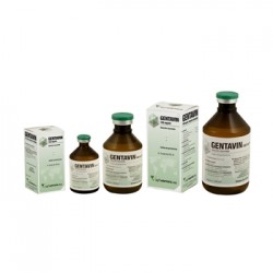 Gentavin 100 mg/ml