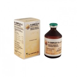 R-COMPLEX B 100 ML