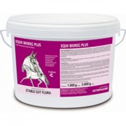 Equi 2000 Bioreg Plus 3 Kg