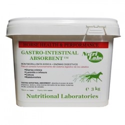 Gastro-Intestinal Absorbent