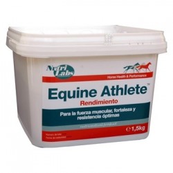 Equine Athlete