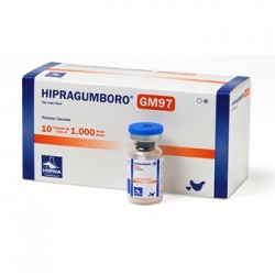 HIPRAGUMBORO GM97 1000 X 10...