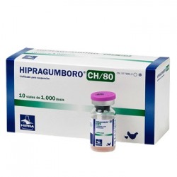 HIPRAGUMBORO CH 80