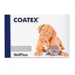 COATEX 60 CAPSULAS