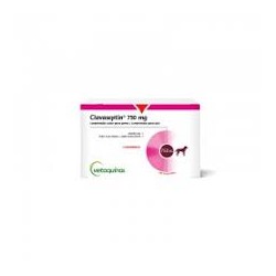 CLAVASEPTIN 750 MG 10...