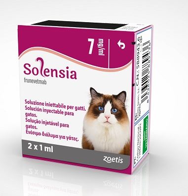 Solensia, nuevo tratamiento osteoartritis gatos